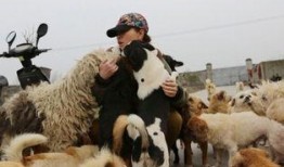 娱乐圈爆料流浪狗,流浪狗的明星梦之旅